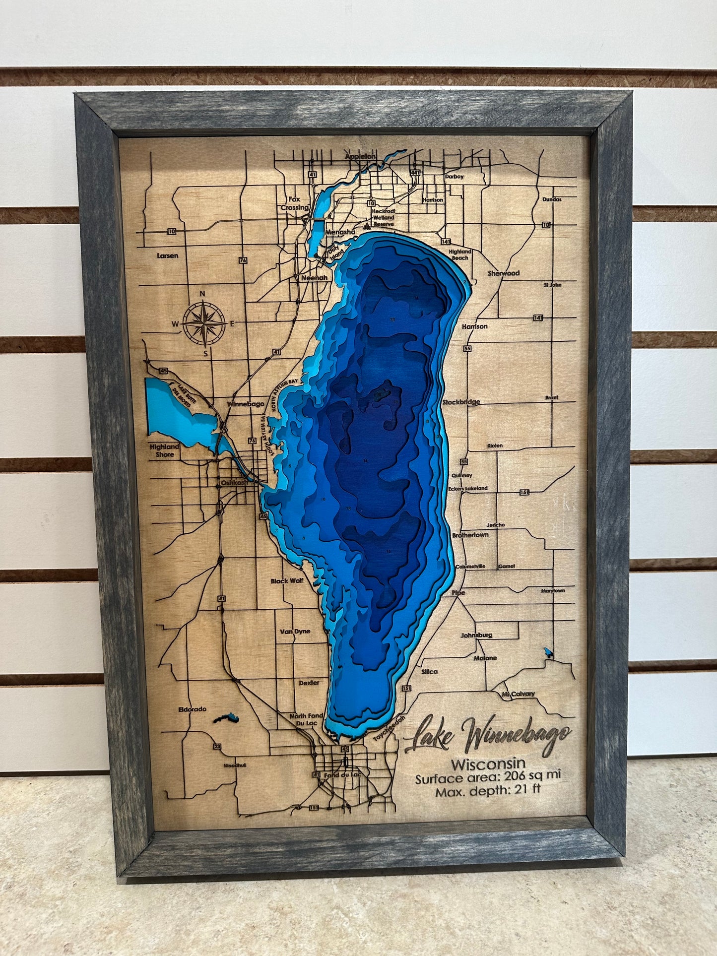 9 Layer, Lake Winnebago Topographic Map